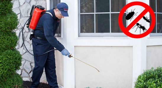 Çardak Hamam Böceği İlaçlama böcek ilaçlama ve haşere kontrolü — ilaclama-tr.com